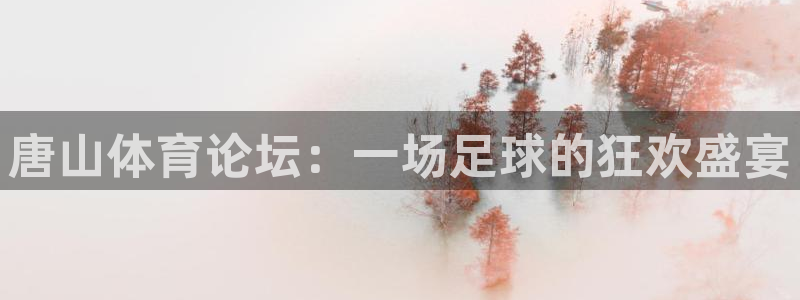 哈哈体育体育平台-胜利因您更精彩：唐山体育论坛：一场足球的狂