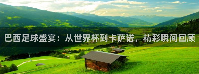 Vsport体育官方网站入口：巴西足球盛宴：从世界杯到卡萨诺