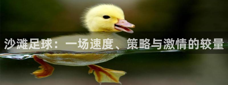 vsport体育平台app下载安装免费：沙滩足球：一场速度、