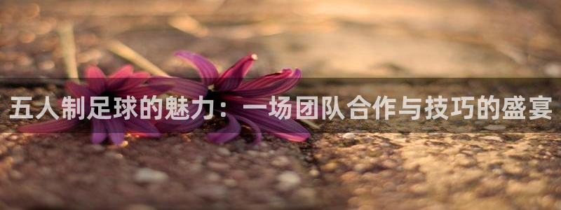  哈哈体育体育平台-胜利因您更精彩：五人制足球的魅力：一场团队
