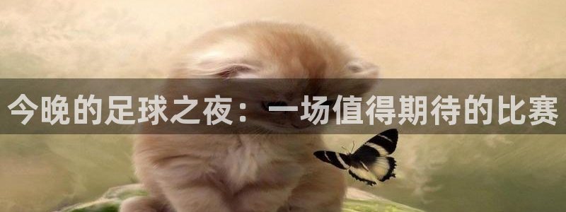  vsport体育平台app下载安装免费：今晚的足球之夜：一场