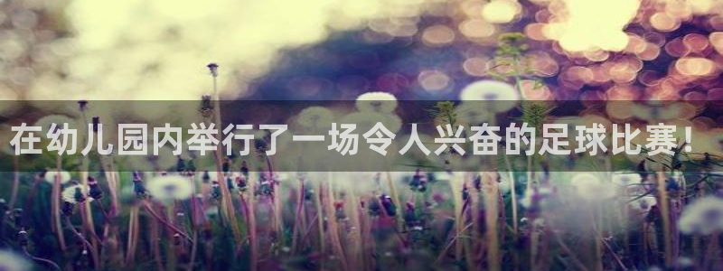  vsport体育平台app下载安装免费：在幼儿园内举行了一场