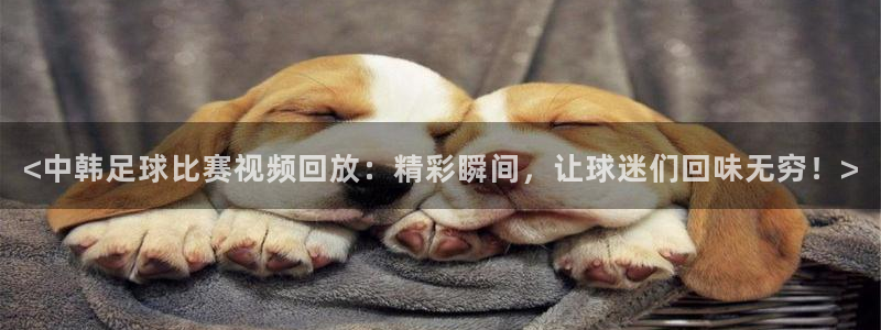vSport体育在线登录平台：<中韩足球比赛视频回放：精彩瞬